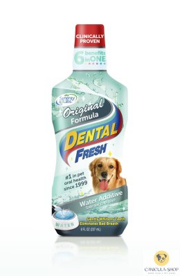 SynergyLabs - Dental Fresh [237ml]