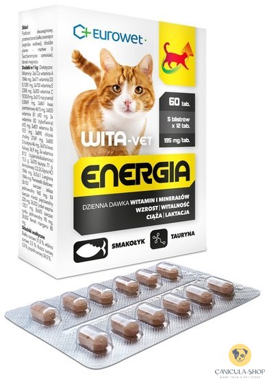 Wita-Vet Kot Energia Junior + Adult 60tabl