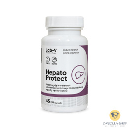 Lab V - Hepato Protect 45 kaps.