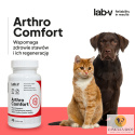 Lab V - Arthro Comfort 45 kaps.