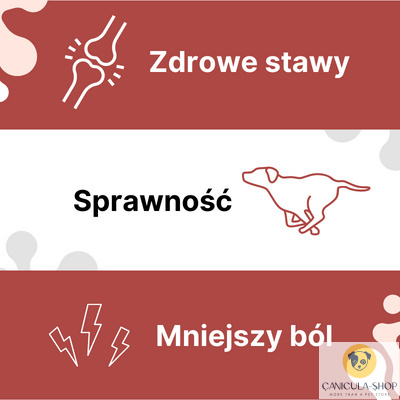 Lab V - Arthrohard 500ml Preparat na wsparcie stawów dla psa i kota Lab V - Arthrohard 500ml Preparat na wsparcie stawów dla psa i kota