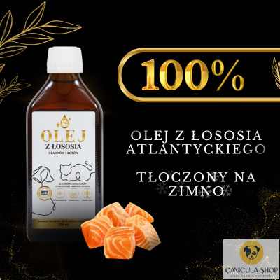 Lab-V Olej z Łososia 100% Dla Psa i Kota 100ml Lab-V Olej z Łososia 100% Dla Psa i Kota 100ml