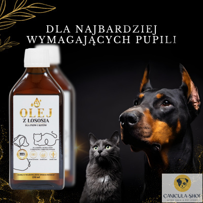 Lab-V Olej z Łososia 100% Dla Psa i Kota 100ml Lab-V Olej z Łososia 100% Dla Psa i Kota 100ml