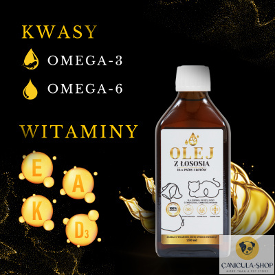 Lab-V Olej z Łososia 100% Dla Psa i Kota 100ml Lab-V Olej z Łososia 100% Dla Psa i Kota 100ml