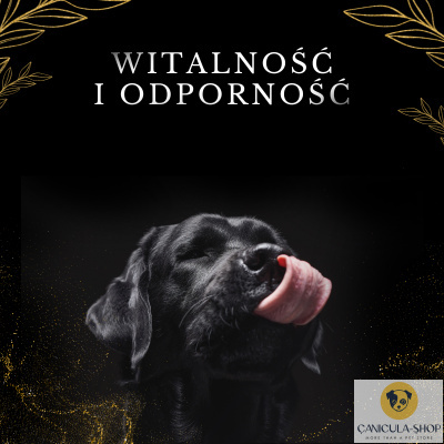 Lab-V Olej z Łososia 100% Dla Psa i Kota 100ml Lab-V Olej z Łososia 100% Dla Psa i Kota 100ml