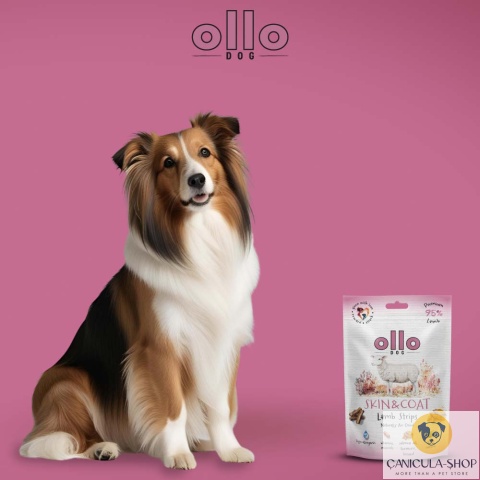 Ollo - Przysmak funkcjonalny dla psa Skin & Coat Lamb Strips 80g Ollo - Przysmak funkcjonalny dla psa Skin & Coat Lamb Strips 80g