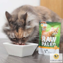 Raw Paleo - Adult Cat Turkey 100g saszetka