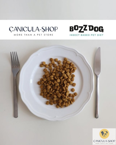 BozzDog – Wsparcie odporności mokra karma dla psa z białka owadów 270g BozzDog – Wsparcie odporności mokra karma dla psa z białka owadów 270g