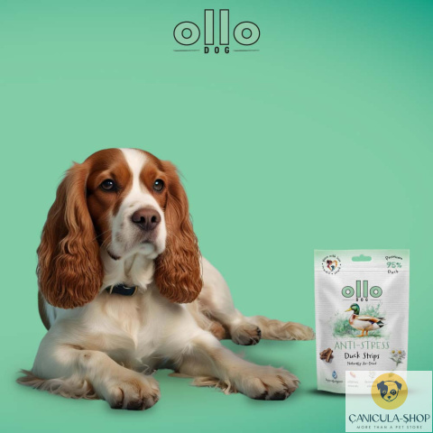 Ollo - Przysmak funkcjonalny dla psa Anti-Stress Duck Strips 80g Ollo - Przysmak funkcjonalny dla psa Anti-Stress Duck Strips 80g