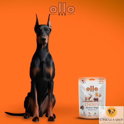 Ollo - Przysmak funkcjonalny dla psa Energy Venision Strips 80g Ollo - Przysmak funkcjonalny dla psa Energy Venision Strips 80g